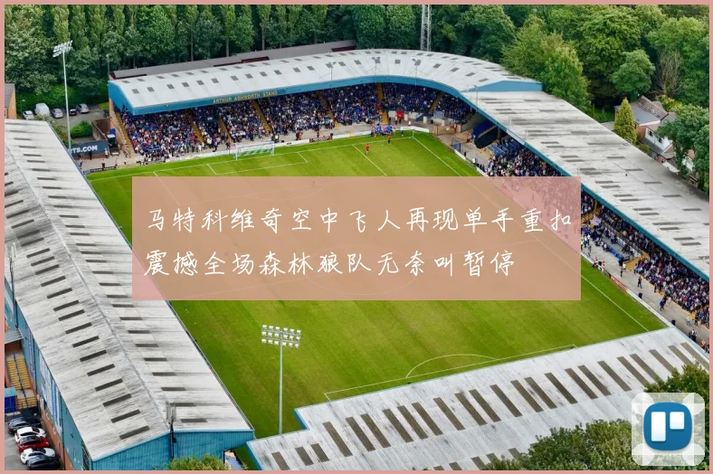 马特科维奇空中飞人再现单手重扣震撼全场森林狼队无奈叫暂停