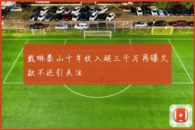 戴琳泰山十年收入超三千万再曝欠款不还引关注